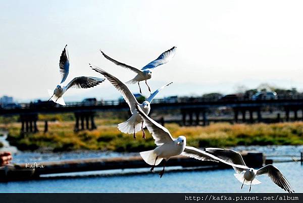 07DSC_7574.JPG 07DSC_7574.JPG