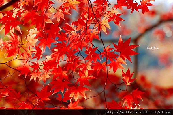 06DSC_7671.JPG 06DSC_7671.JPG