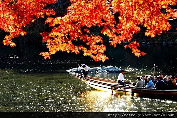 03DSC_7651.JPG 03DSC_7651.JPG