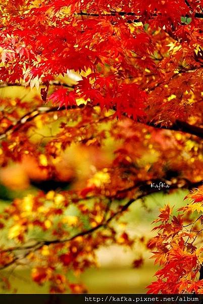 08DSC_7726.JPG 08DSC_7726.JPG