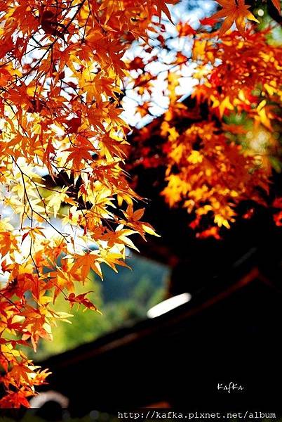 16DSC_7790.JPG 16DSC_7790.JPG