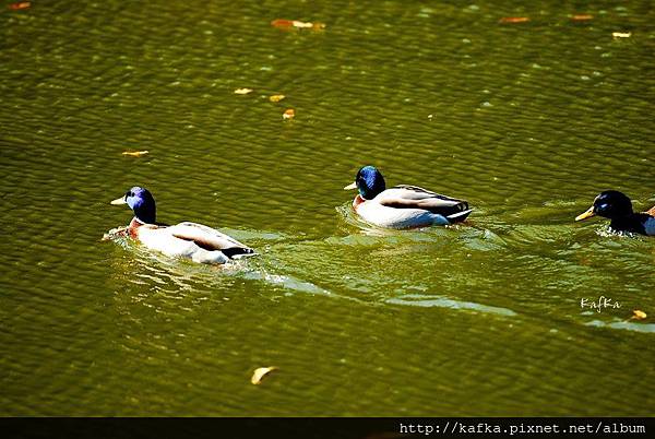 10DSC_7728.JPG 10DSC_7728.JPG