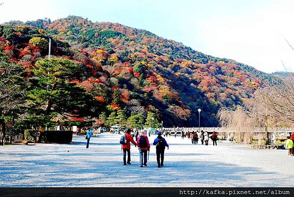 DSC_7523.JPG DSC_7523.JPG