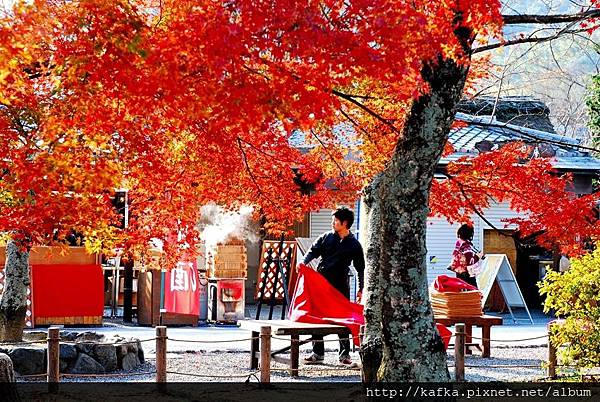 DSC_7524.JPG DSC_7524.JPG