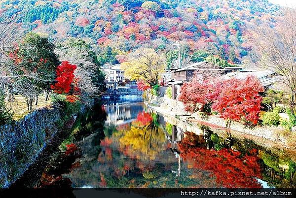 DSC_7521.JPG DSC_7521.JPG