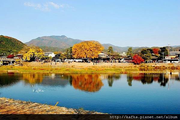 DSC_7529.JPG DSC_7529.JPG