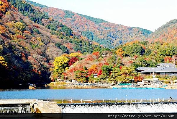 DSC_7536.JPG DSC_7536.JPG