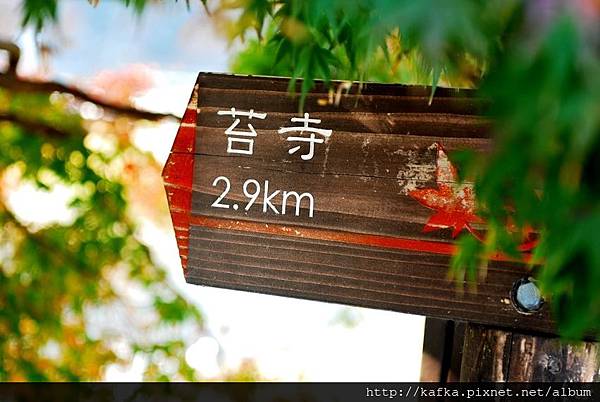 DSC_7547.JPG DSC_7547.JPG