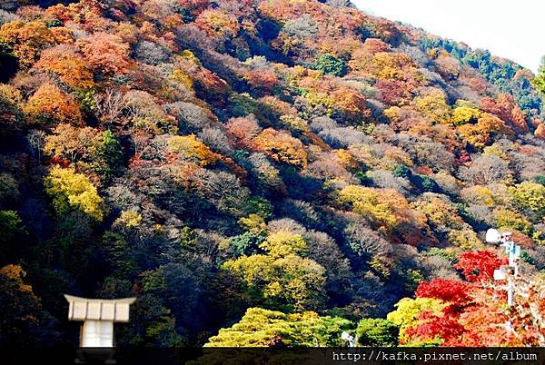 DSC_7579.JPG DSC_7579.JPG