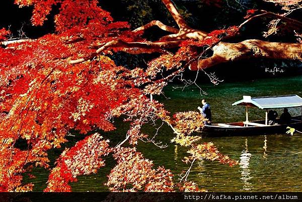 DSC_7633.JPG DSC_7633.JPG