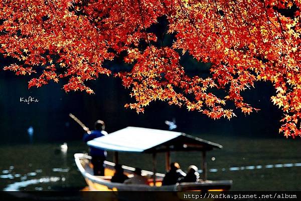 DSC_7606.JPG DSC_7606.JPG