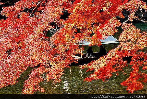 DSC_7637.JPG DSC_7637.JPG