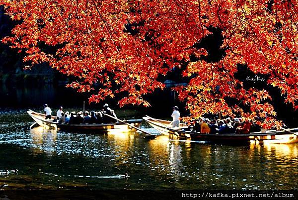 DSC_7657.JPG DSC_7657.JPG