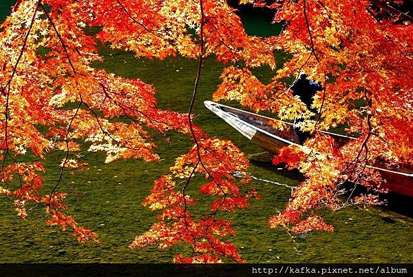 DSC_7663.JPG DSC_7663.JPG