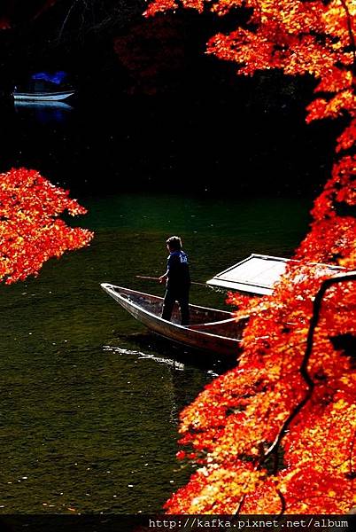 DSC_7665.JPG DSC_7665.JPG