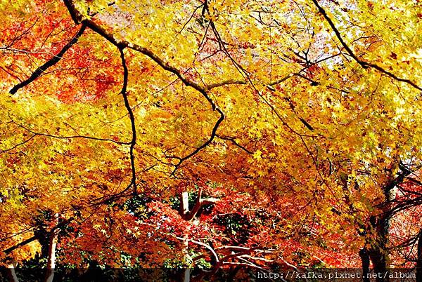 DSC_7666.JPG DSC_7666.JPG