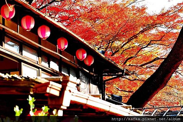 DSC_7658.JPG DSC_7658.JPG