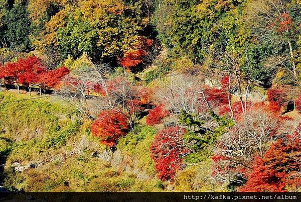 DSC_7706.JPG DSC_7706.JPG