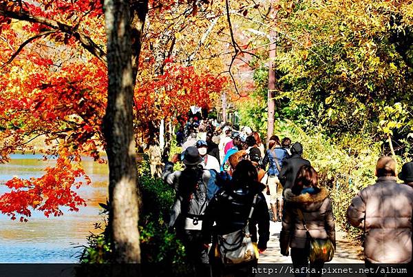 DSC_7723.JPG DSC_7723.JPG