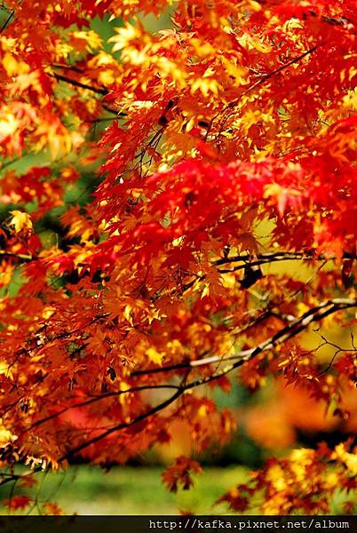 DSC_7725.JPG DSC_7725.JPG