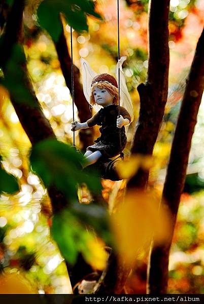 DSC_7734.JPG DSC_7734.JPG