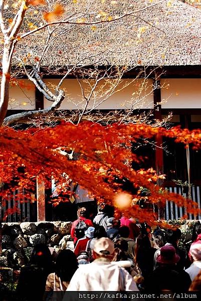 DSC_7739.JPG DSC_7739.JPG