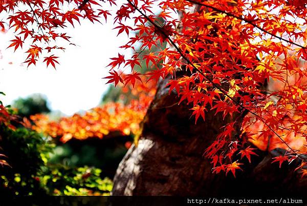 DSC_7740.JPG DSC_7740.JPG