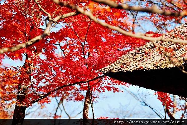 DSC_7744.JPG DSC_7744.JPG