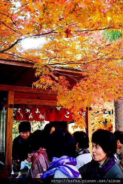 DSC_7760.JPG DSC_7760.JPG