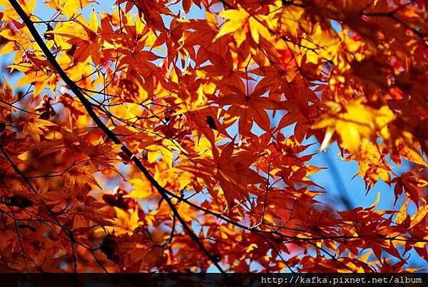 DSC_7774.JPG DSC_7774.JPG