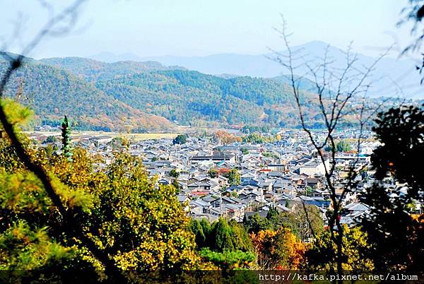 DSC_7784.JPG DSC_7784.JPG