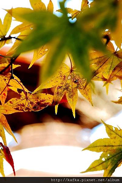 DSC_7776.JPG DSC_7776.JPG