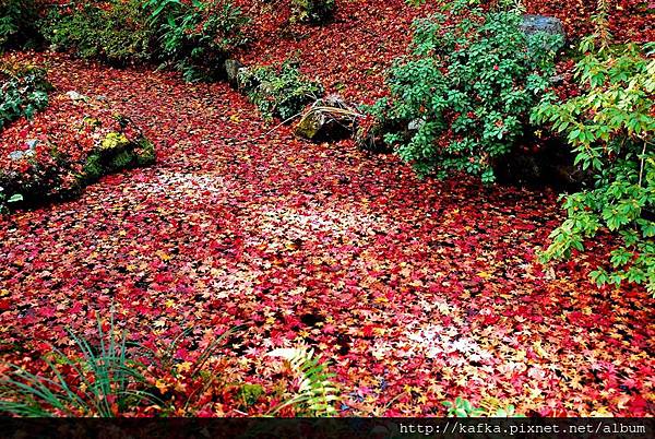 DSC_7766.JPG DSC_7766.JPG