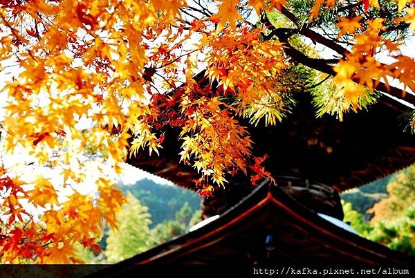 DSC_7791.JPG DSC_7791.JPG