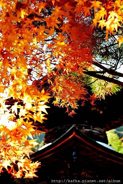 DSC_7789.JPG DSC_7789.JPG