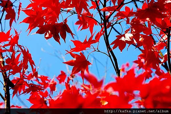 DSC_7807.JPG DSC_7807.JPG