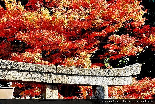 DSC_7802.JPG DSC_7802.JPG