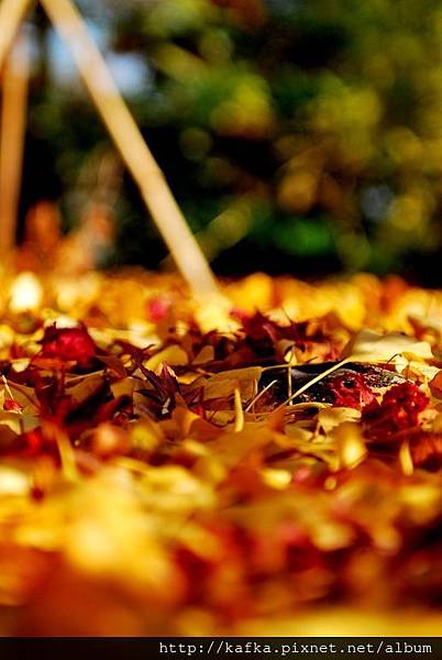 DSC_7813.JPG DSC_7813.JPG