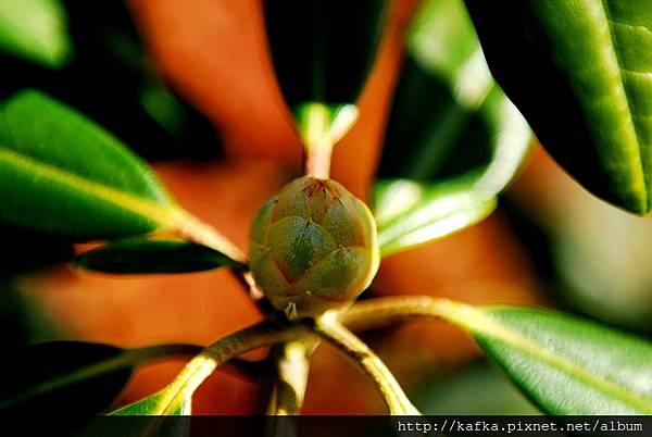 DSC_7812.JPG DSC_7812.JPG