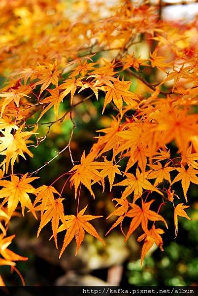 DSC_7846.JPG DSC_7846.JPG