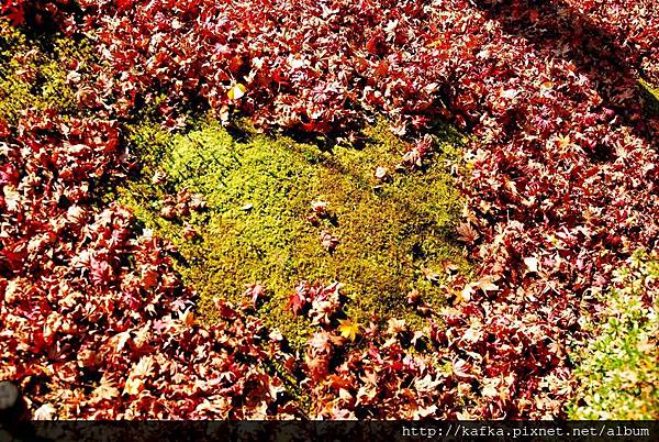 DSC_7819.JPG DSC_7819.JPG