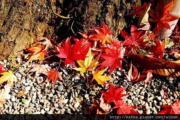 DSC_7840.JPG DSC_7840.JPG