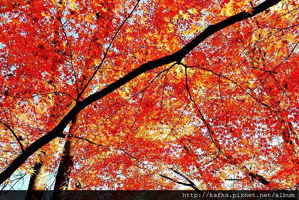 DSC_7849.JPG DSC_7849.JPG