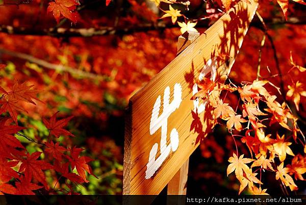 DSC_7873.JPG DSC_7873.JPG