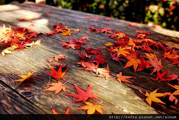 DSC_7852.JPG DSC_7852.JPG