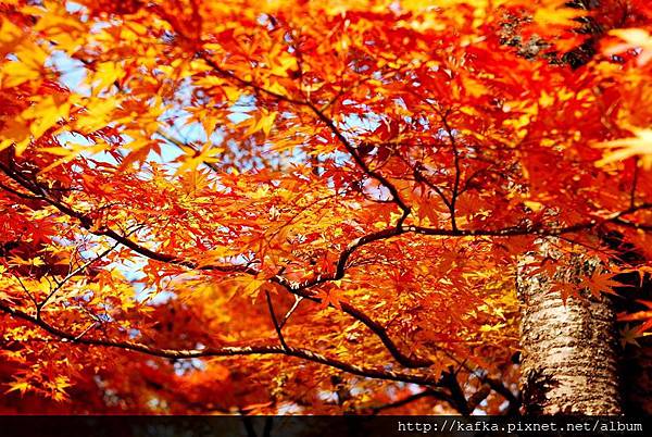 DSC_7874.JPG DSC_7874.JPG