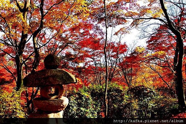 DSC_7864.JPG DSC_7864.JPG