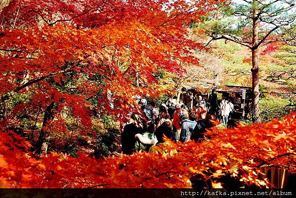 DSC_7877.JPG DSC_7877.JPG