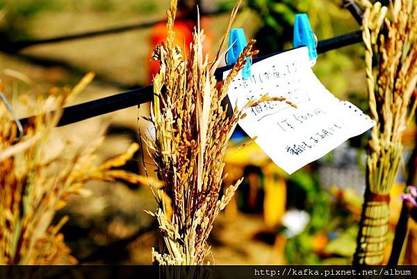 DSC_7900.JPG DSC_7900.JPG