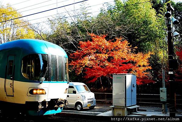 DSC_7905.JPG DSC_7905.JPG